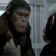 Image for article titled Rise of the Planet of the Apes might be the most realistic ape revolution movie ever